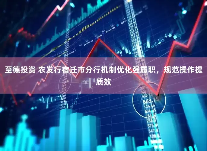 至德投资 农发行宿迁市分行机制优化强履职，规范操作提质效
