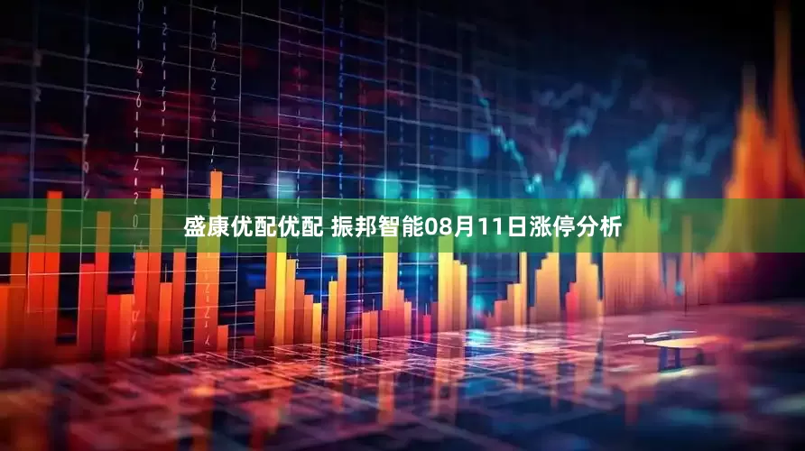 盛康优配优配 振邦智能08月11日涨停分析