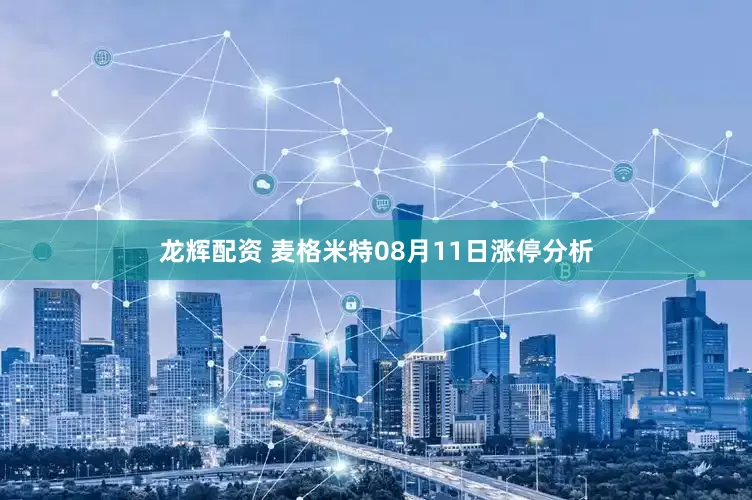 龙辉配资 麦格米特08月11日涨停分析